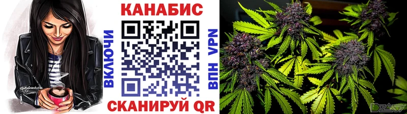 Купить наркотики цена Чебоксары COCAIN  Псилоцибиновые грибы  Гашиш  МДМА  Меф мяу мяу  Канабис  Alpha-PVP  Амфетамин 