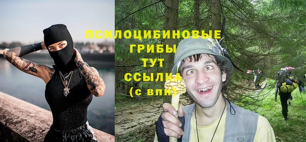 прущая мука Верея