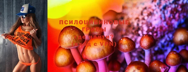 прущая мука Верея