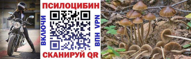 Псилоцибиновые грибы мухоморы  продажа наркотиков  Чебоксары 
